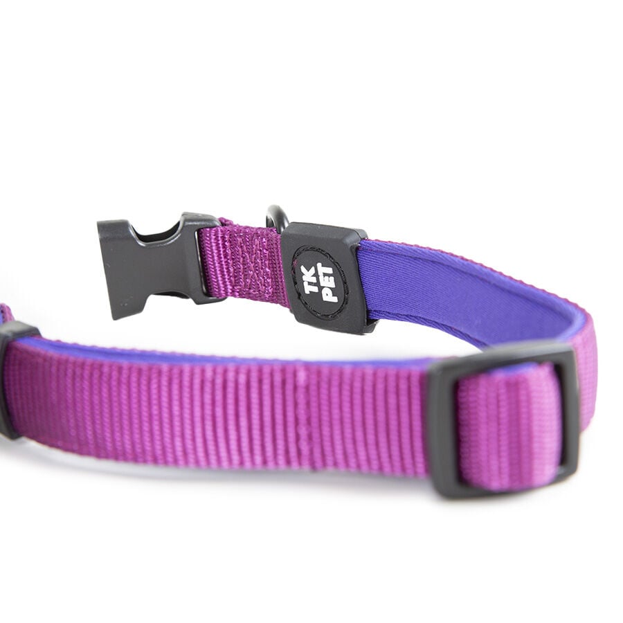 TK-Pet Neo Classic Collar de Nylon Morado para perros, , large Imagen numero 5